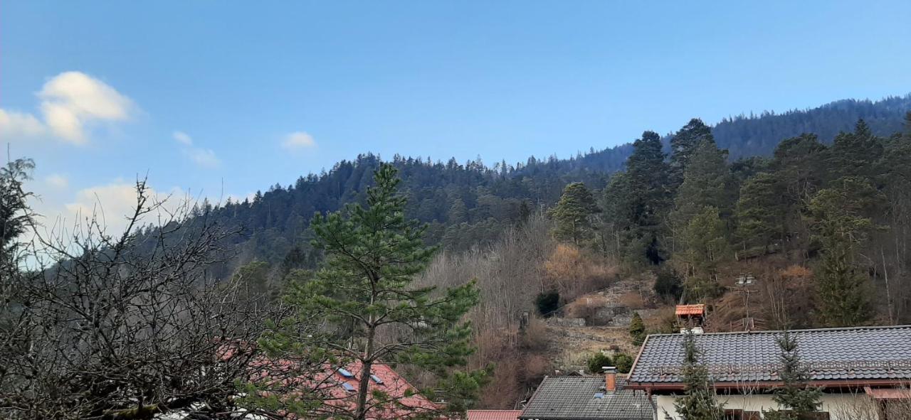 Appartement Im Hasental 가르미슈파르텐키르헨 외부 사진