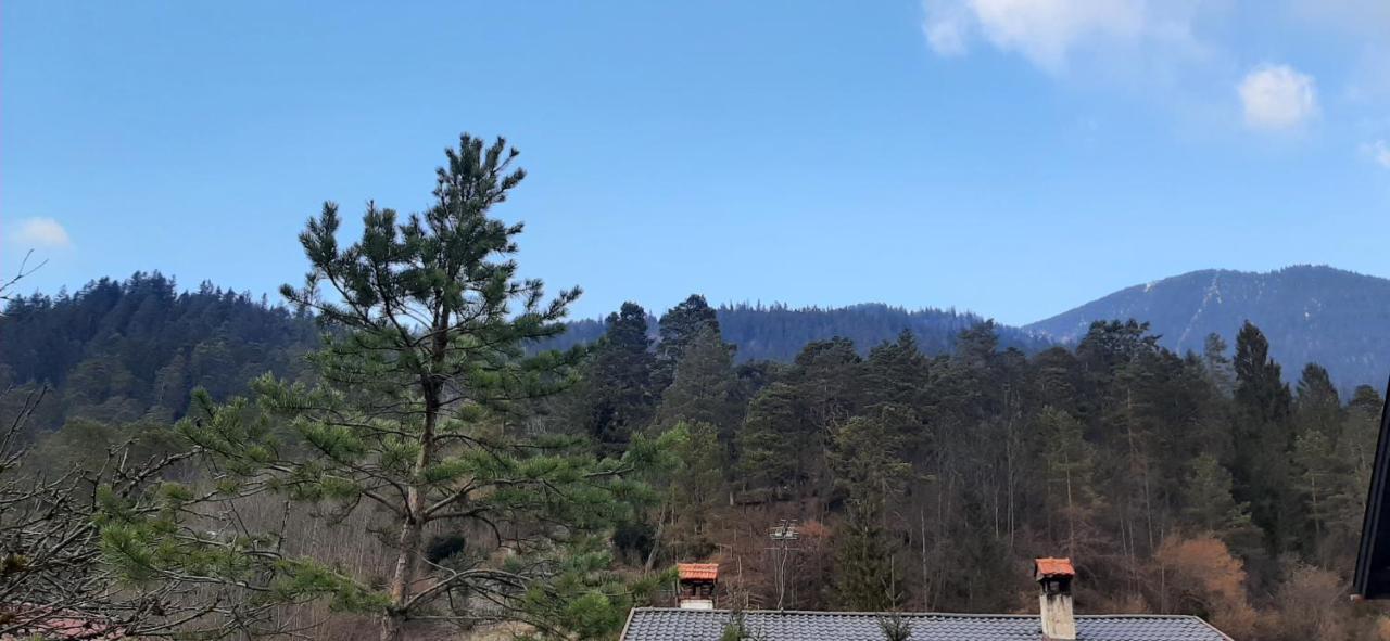 Appartement Im Hasental 가르미슈파르텐키르헨 외부 사진